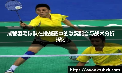 成都羽毛球队在挑战赛中的默契配合与战术分析探讨